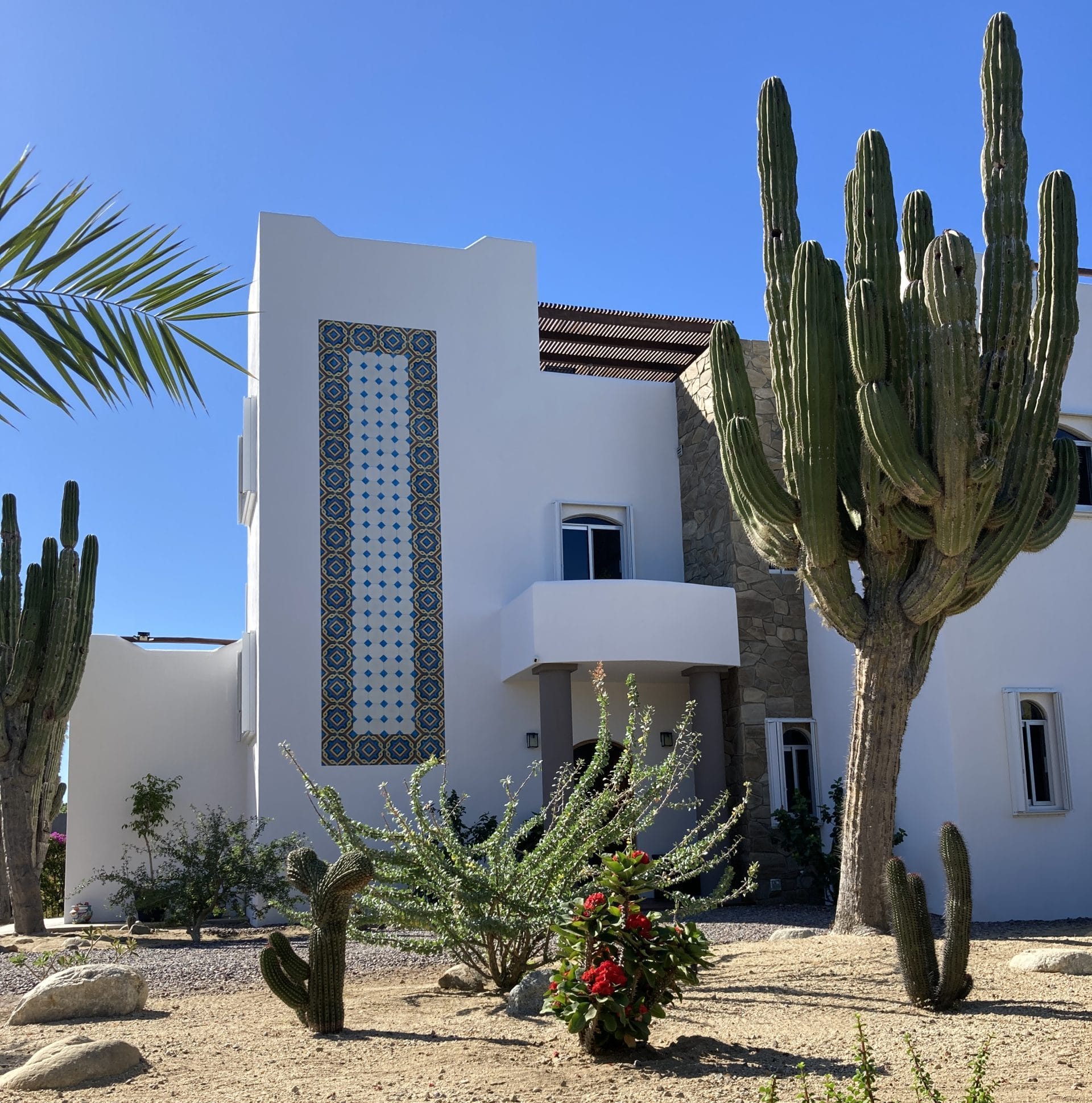 Tall house facade with cactus in front of it