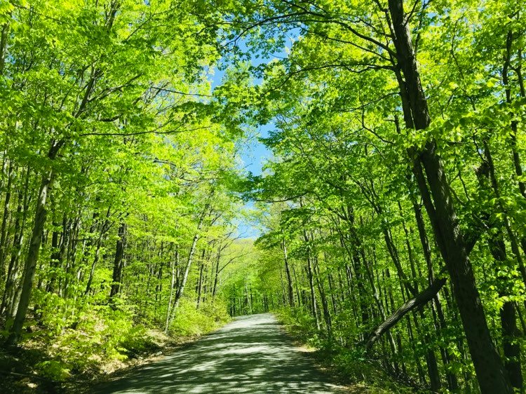 Vermont roads. Epic family road trip blog cover