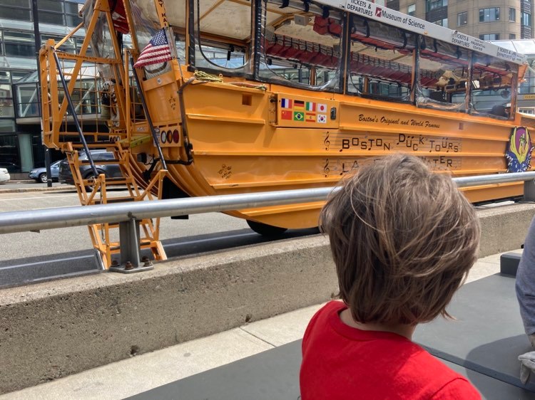 Child waiting for a duck bus tour