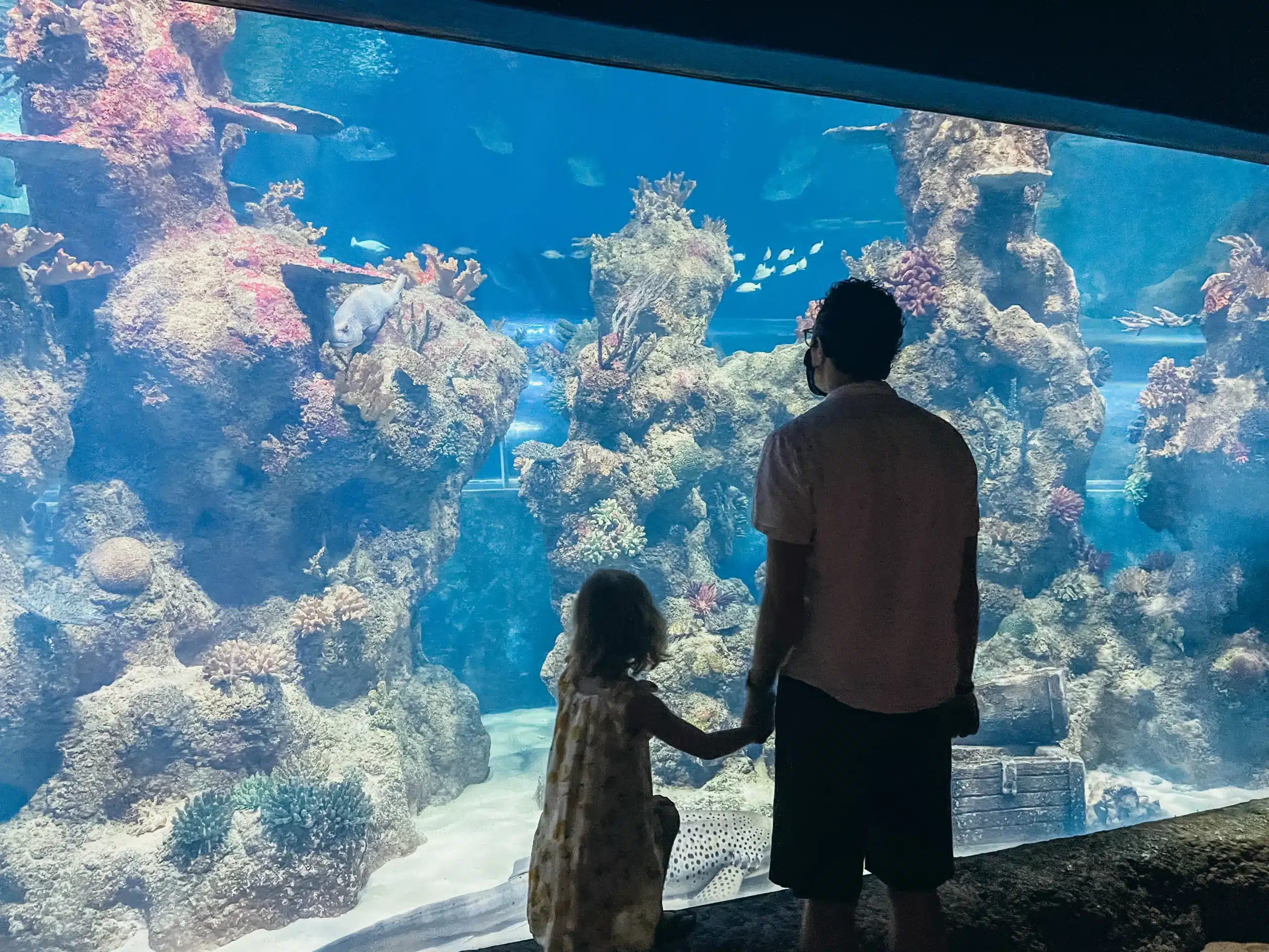 Italy with kids Malta Aquarium