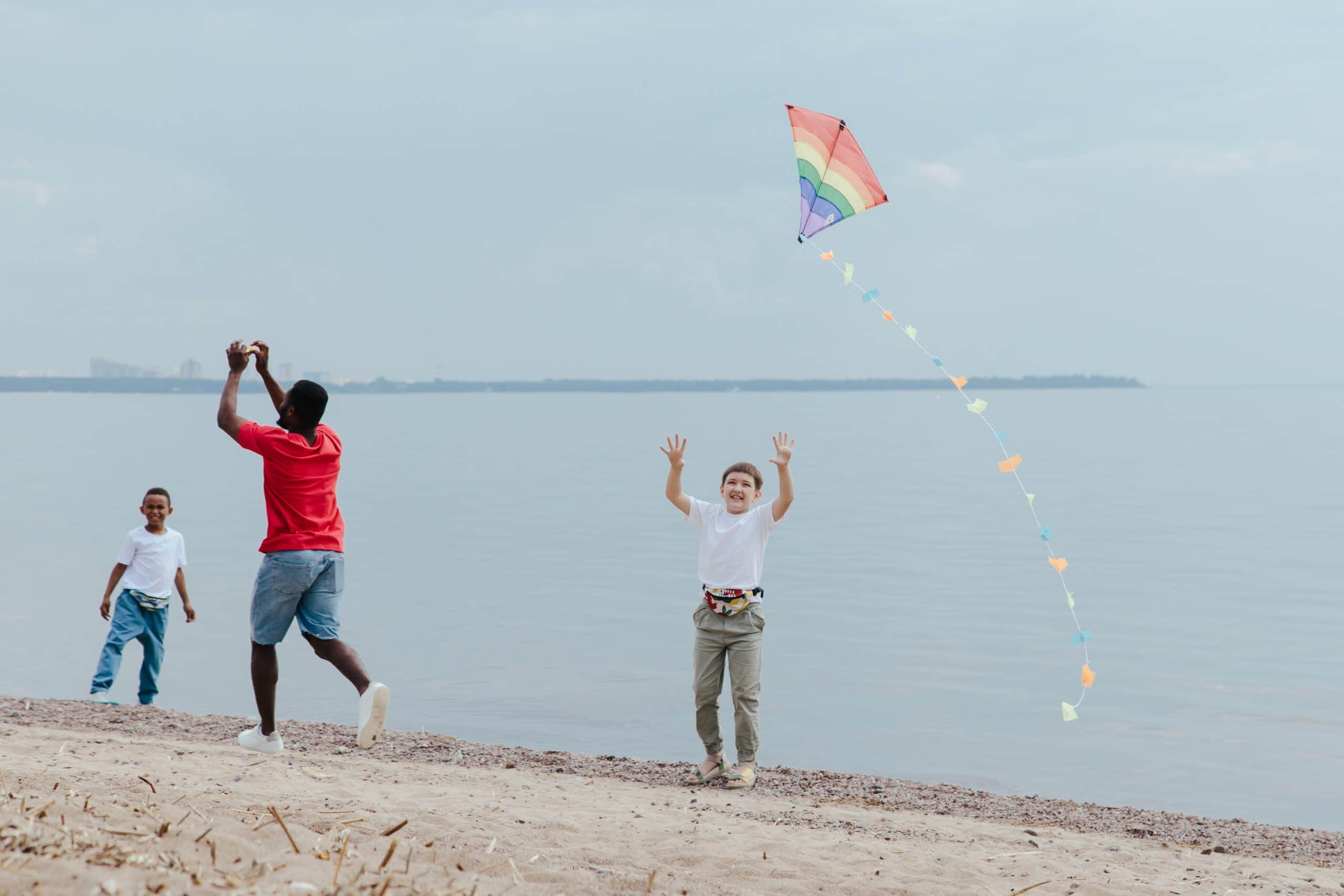 children play with a kite
