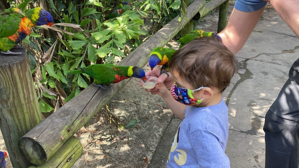 Hands-on Experience at the Brevard Zoo, Florida
