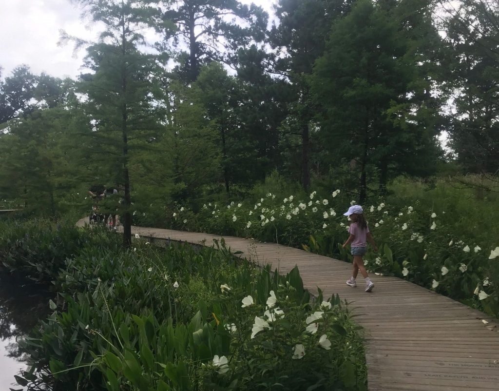 Child walking in on a boardwalk of the Arboretum