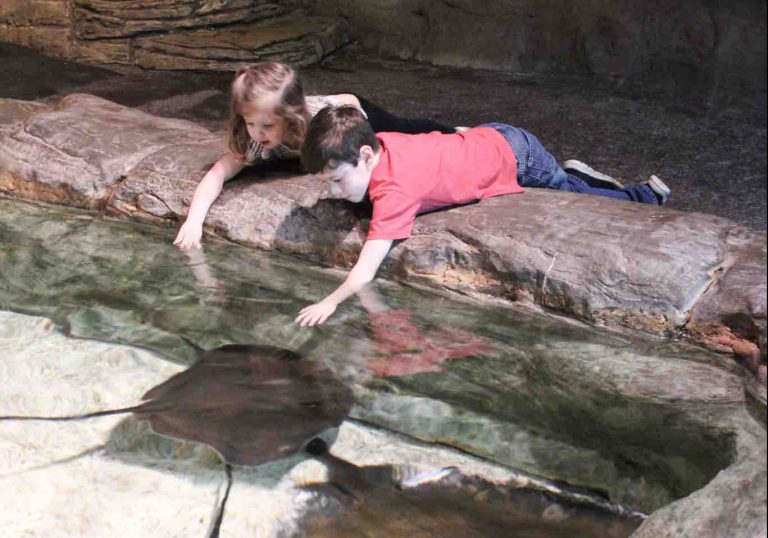 Ripley's Aquarium Myrtle beach touch a tank