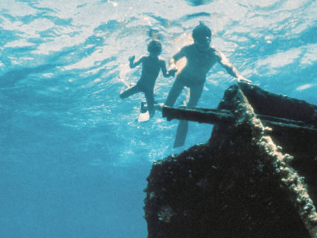 Family snorkeling above shipwrecks