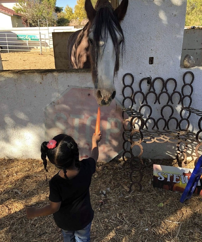 Little Girl feeding a horse in McKee Ranch