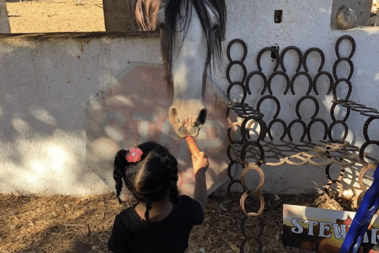 A child giving a carrot to a horse at the McKee ranch