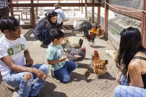 Farm sanctuary in Los Angeles to do with kids