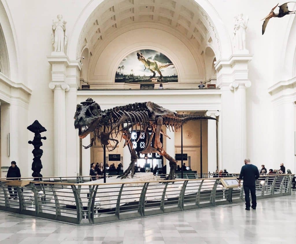 13 Best Natural History Museums in the U.S. for Kids