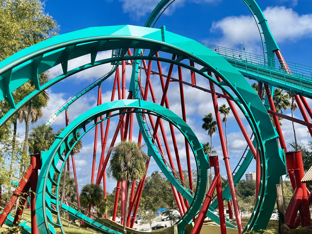 Roller coaster from Tampa Bay Bush Garden