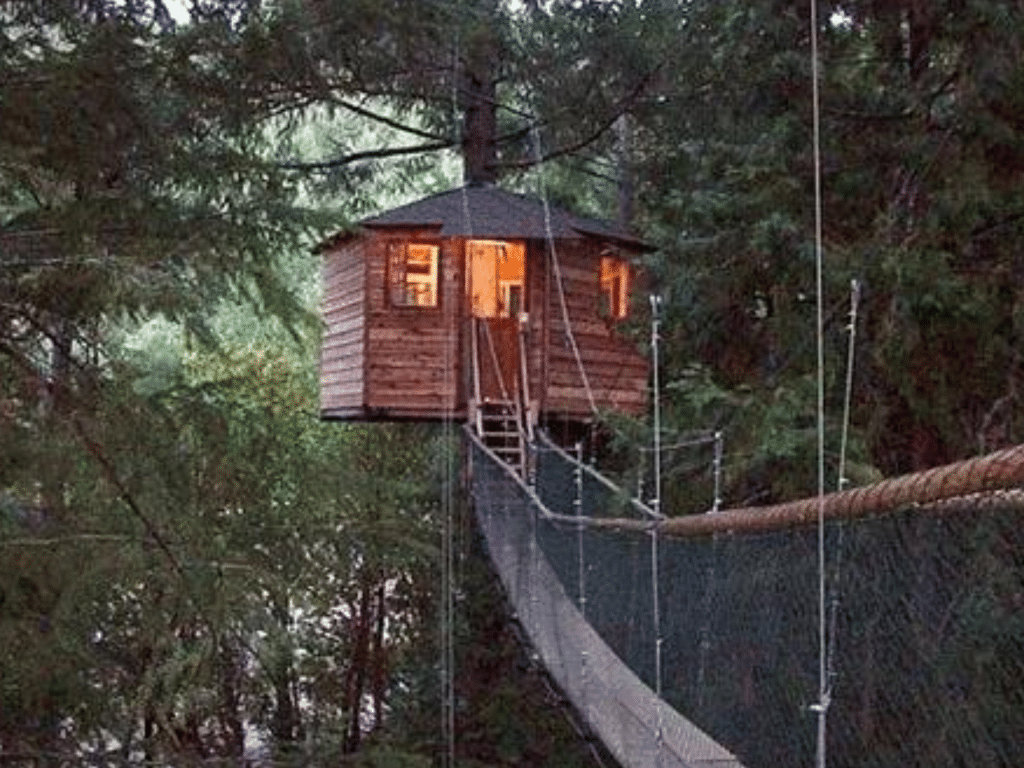 Treehouse of the outandabout resort