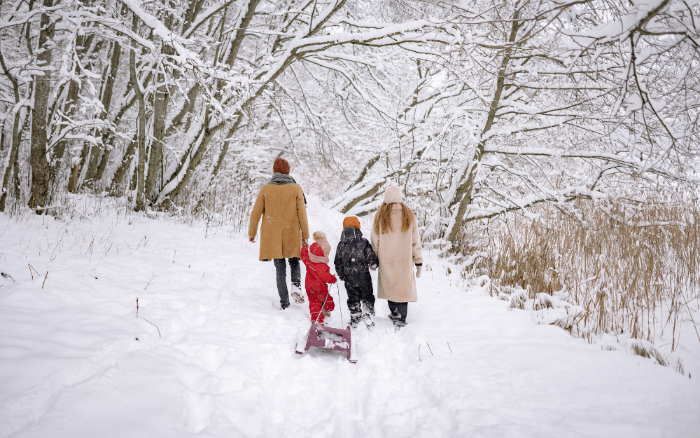 Family enjoying the snow