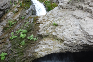 Water flowing through a donut shape rock formation in Donut Fall utah
